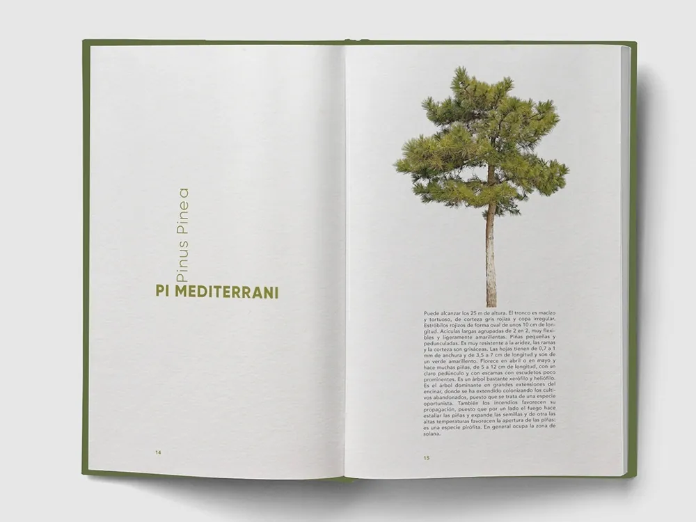 Día Internacional de los Bosques