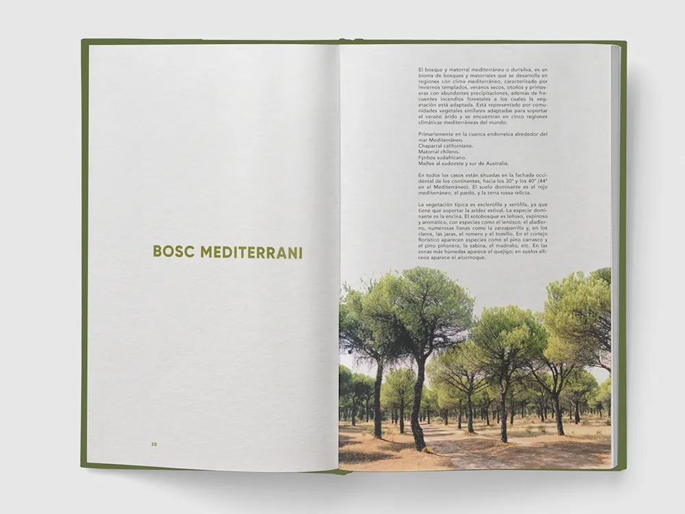 Día Internacional de los Bosques